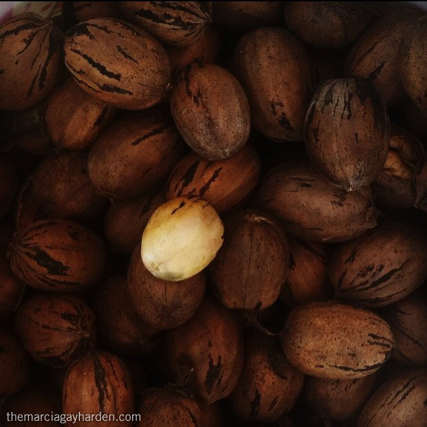 The Official Marcia Gay Harden - Life and Style